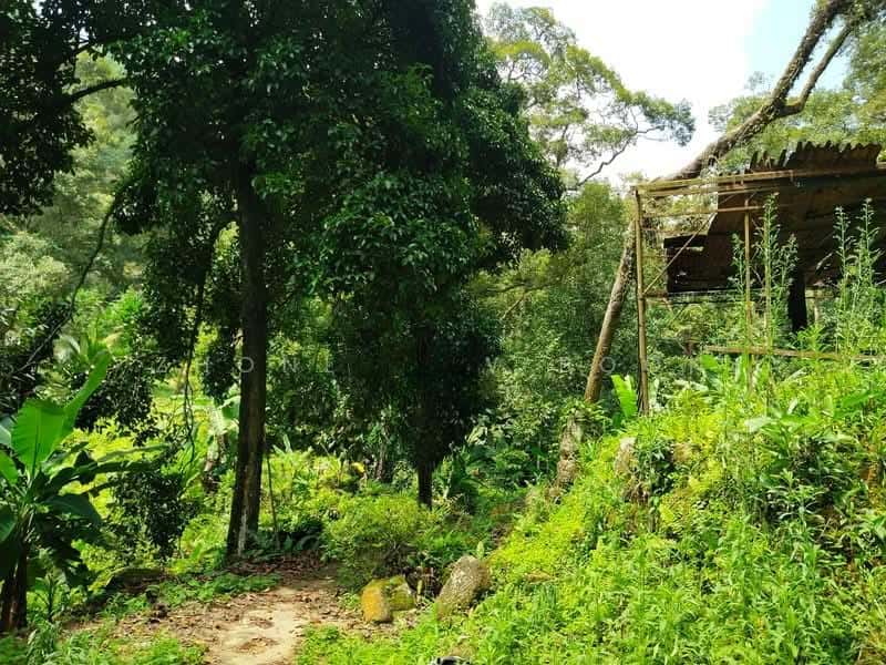 Balik Pulau