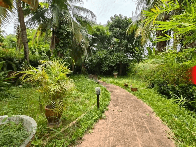 Pantai Jerjak, Pantai Jerejak, Bayan Lepas - 1