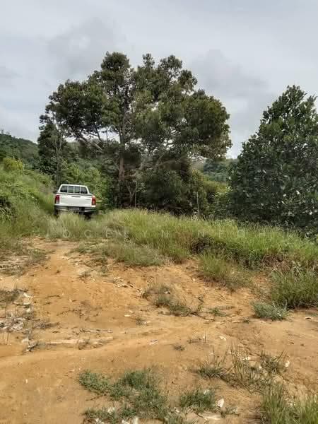 Junjong Durian Land Kulim Kedah - 1