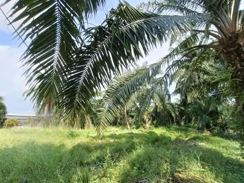 Kawasan Perindustrian Valdor, Land, Valdor, Sungai Jawi
